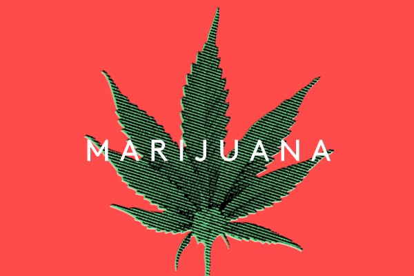 truthabout-weed-slide